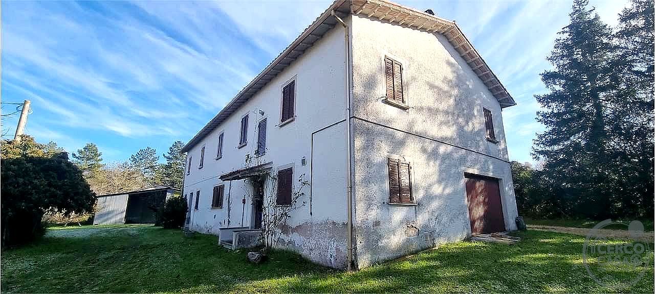 AZIENDA AGRICOLA VENDITA SIGILLO · foto 19