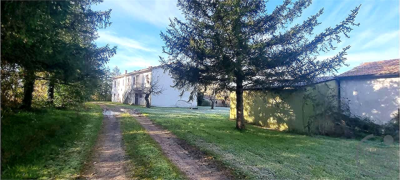 AZIENDA AGRICOLA VENDITA SIGILLO · foto 21