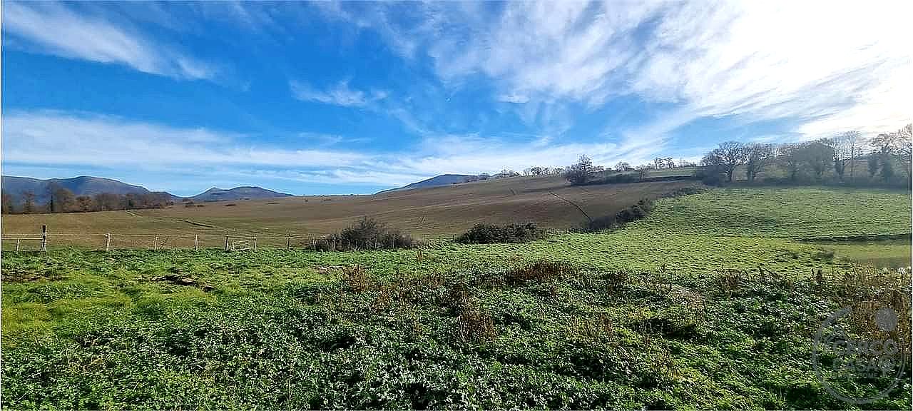 AZIENDA AGRICOLA VENDITA SIGILLO · foto 5
