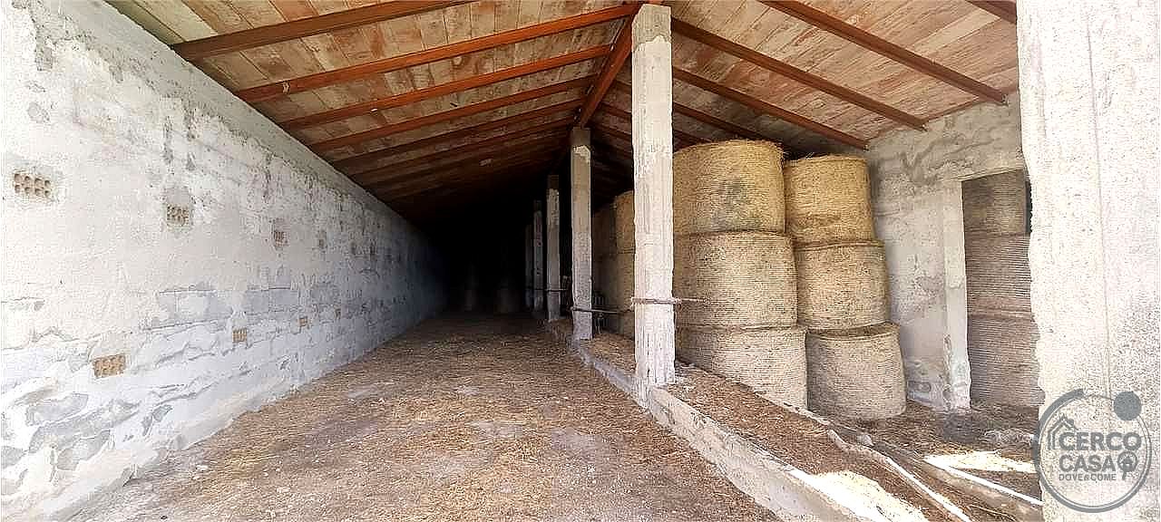 AZIENDA AGRICOLA VENDITA SIGILLO · foto 6