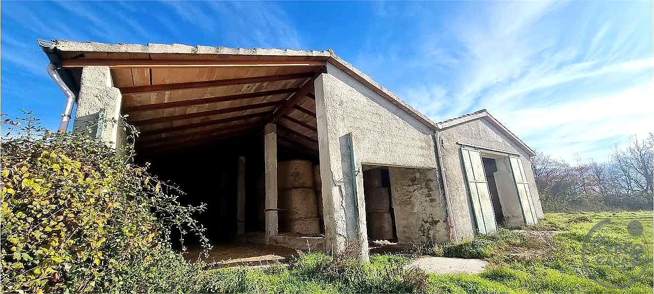 AZIENDA AGRICOLA VENDITA SIGILLO · foto 7