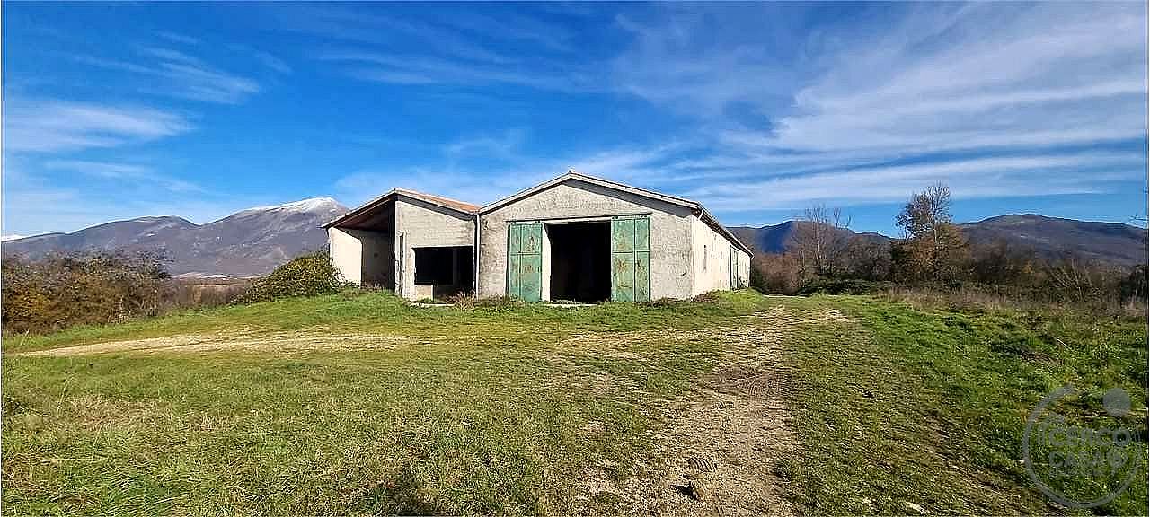 AZIENDA AGRICOLA VENDITA SIGILLO · foto 9