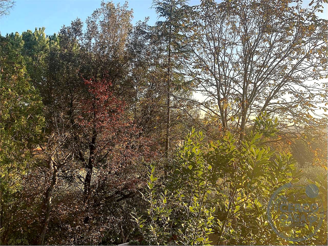 VILLA BIFAMILIARE VENDITA PERUGIA PREPO · foto 3
