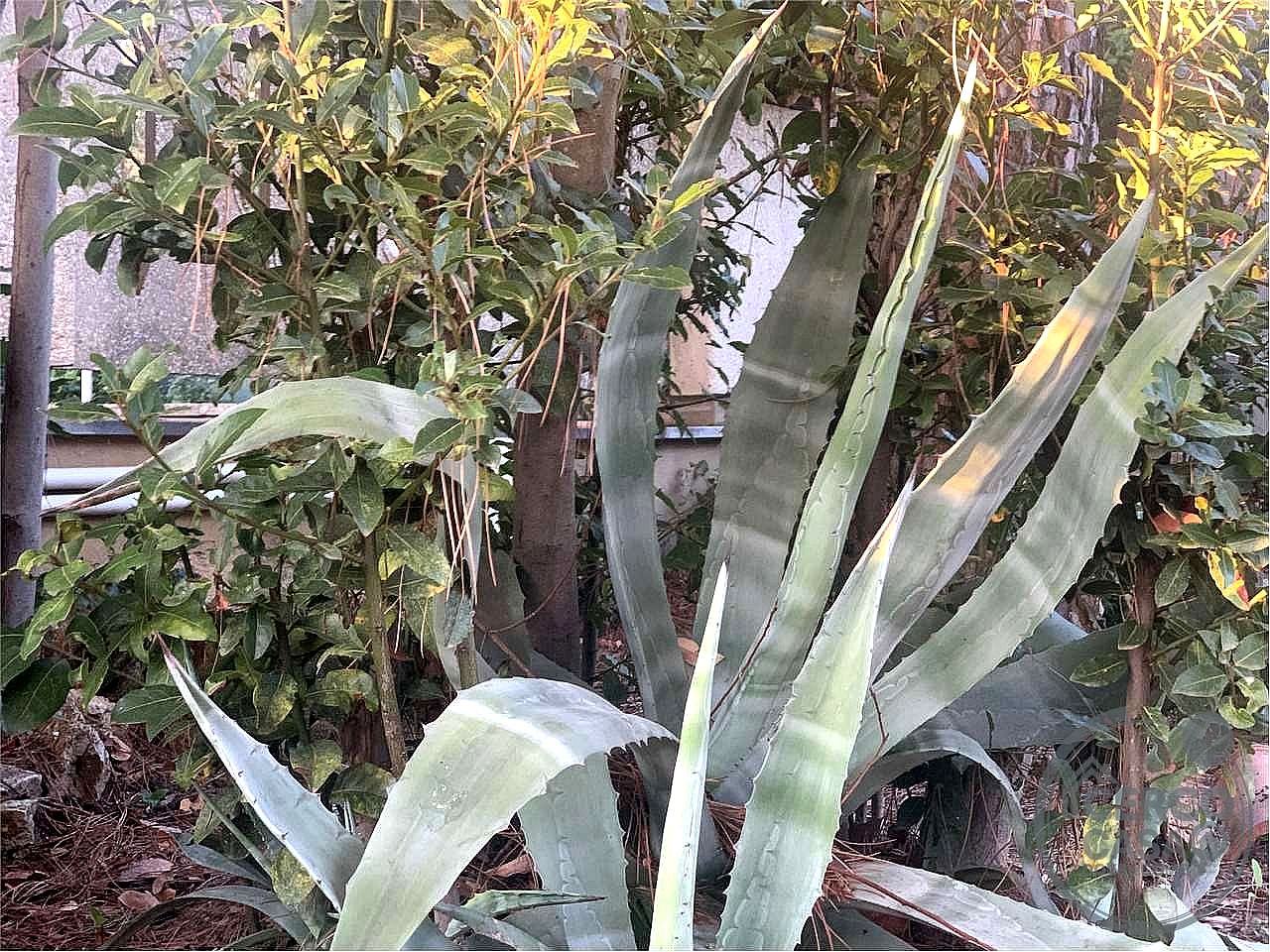 VILLA BIFAMILIARE VENDITA PERUGIA PREPO · foto 4