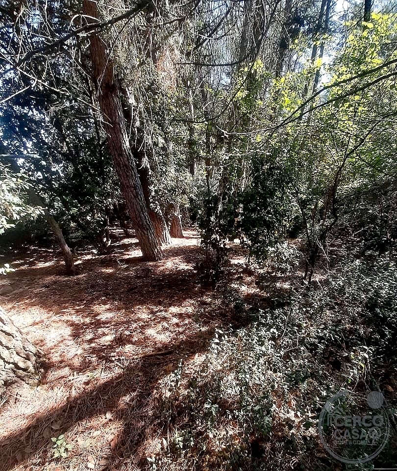 TERRENO AGRICOLO VENDITA PERUGIA BALANZANO · foto 2