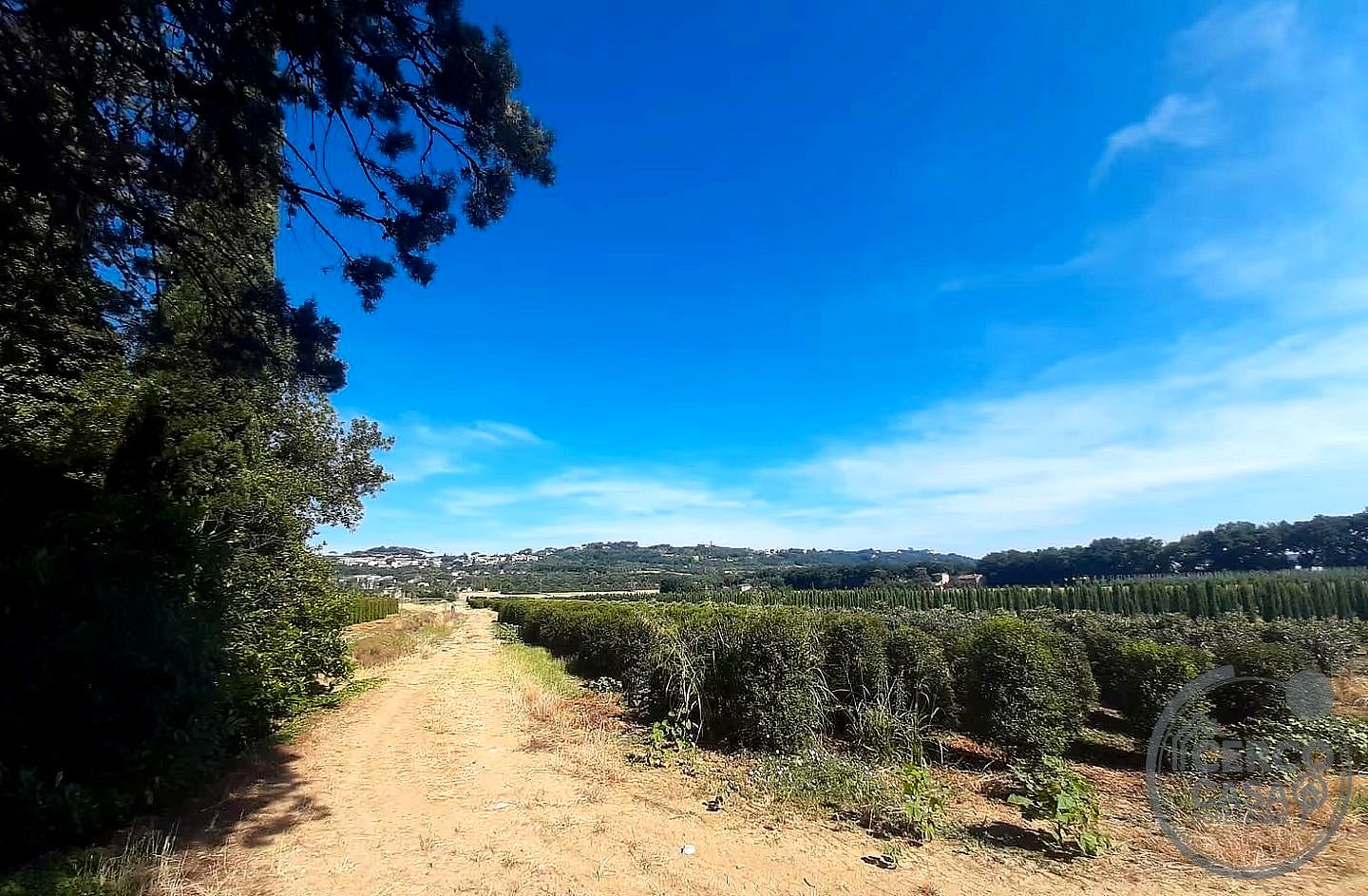 TERRENO AGRICOLO VENDITA PERUGIA BALANZANO · foto 3