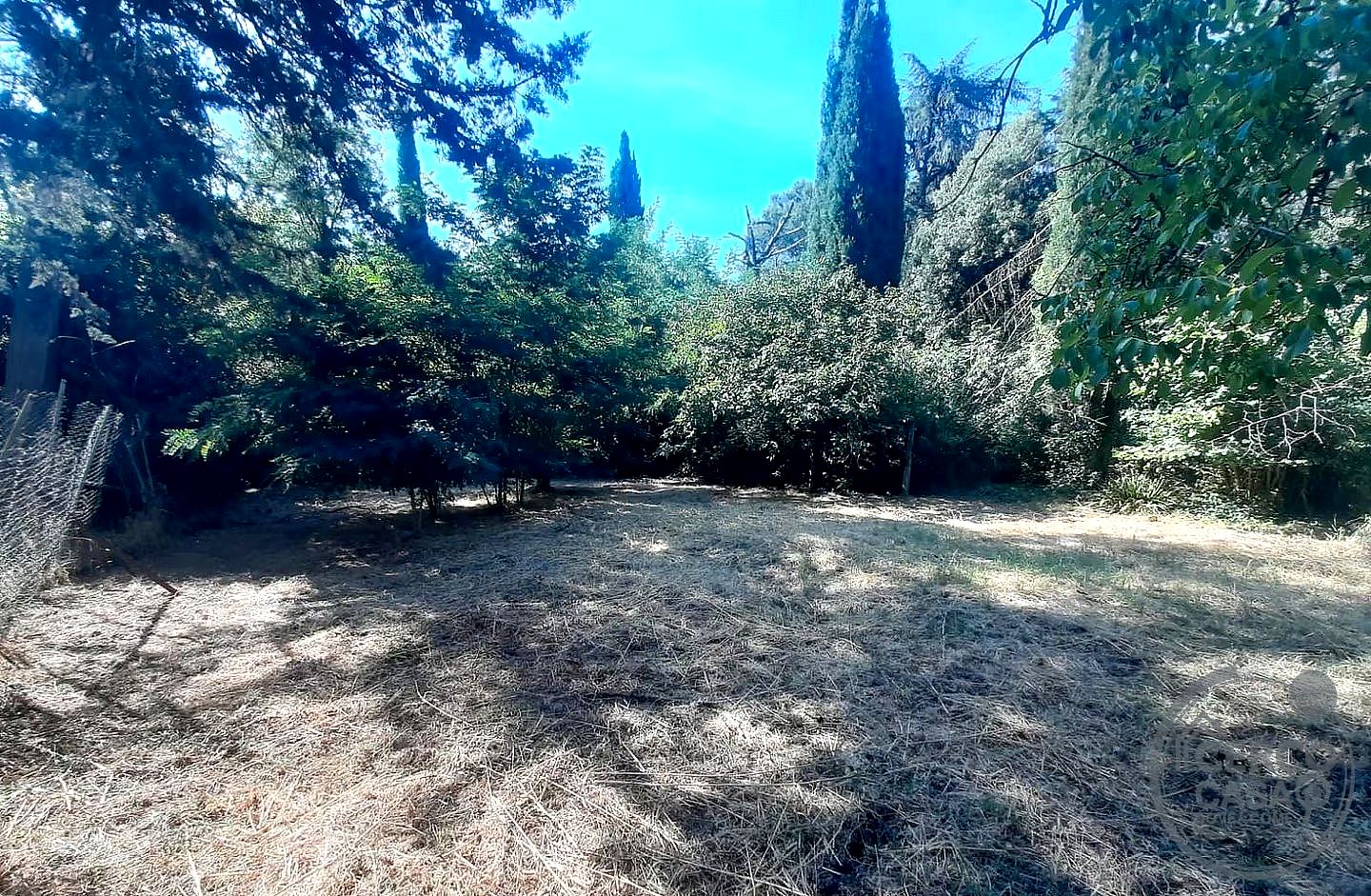 TERRENO AGRICOLO VENDITA PERUGIA BALANZANO · foto 6