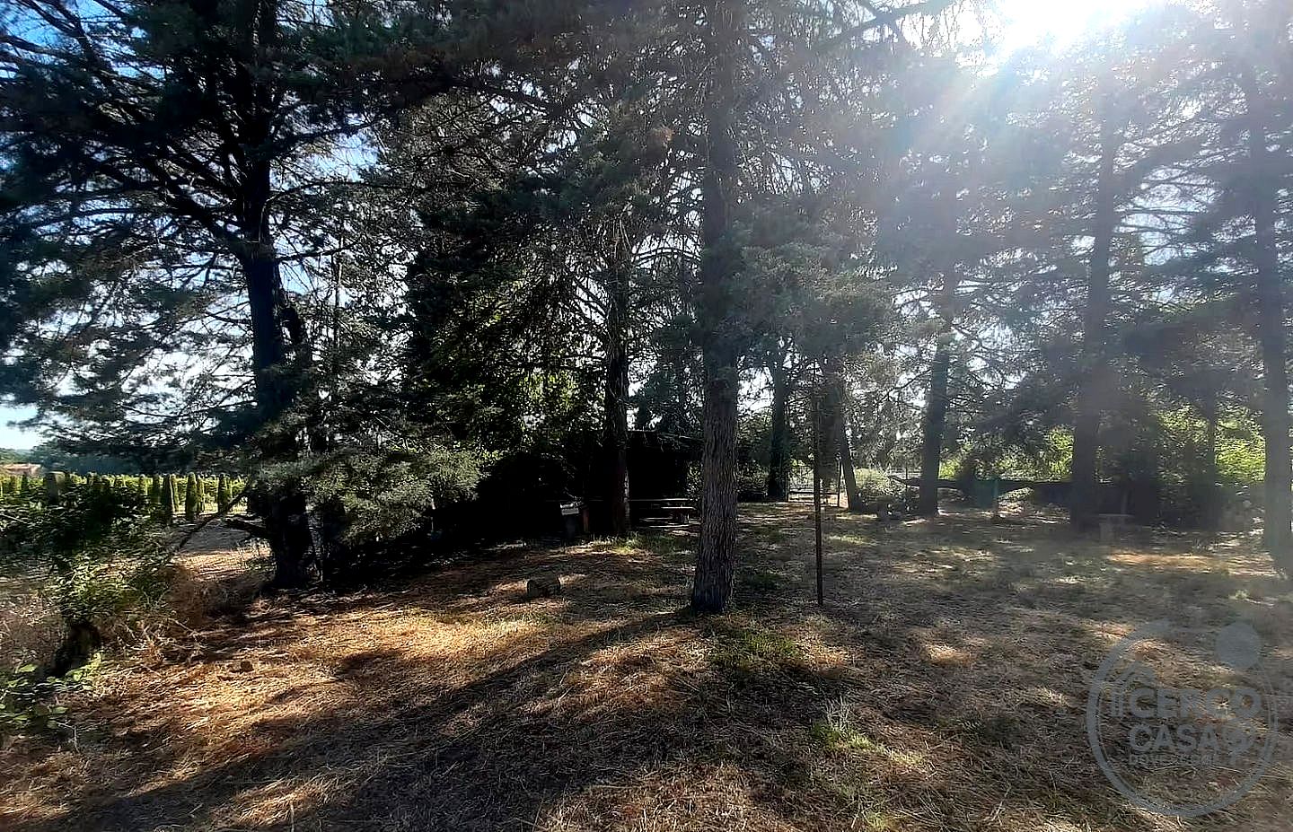 TERRENO AGRICOLO VENDITA PERUGIA BALANZANO · foto 7