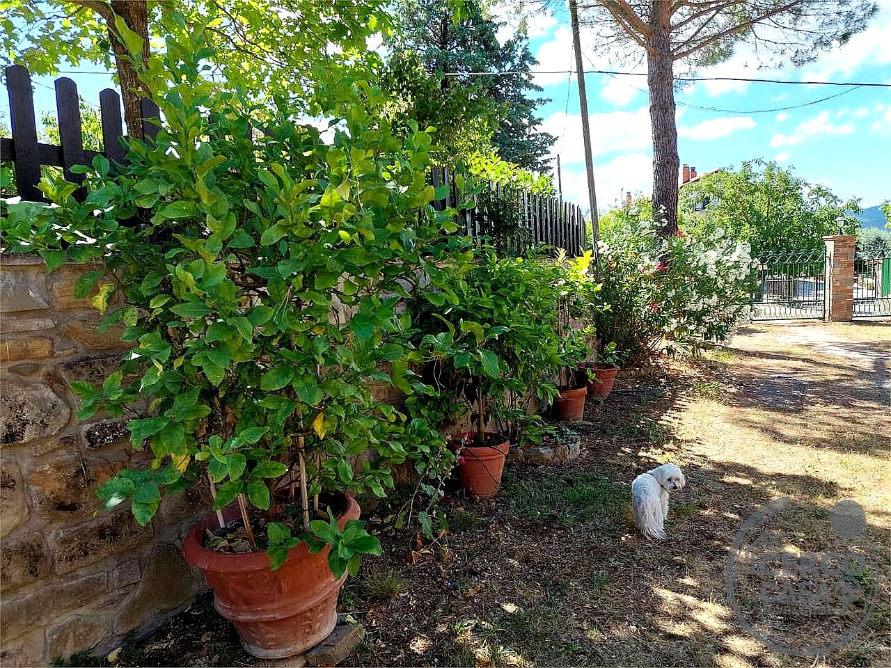 RUSTICO - CASALE VENDITA PERUGIA · foto 22