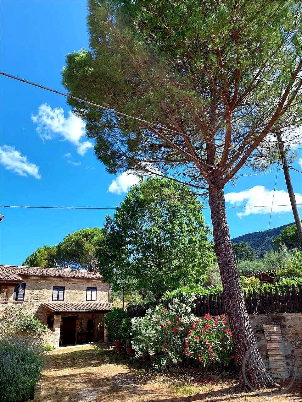 RUSTICO - CASALE VENDITA PERUGIA · foto 24