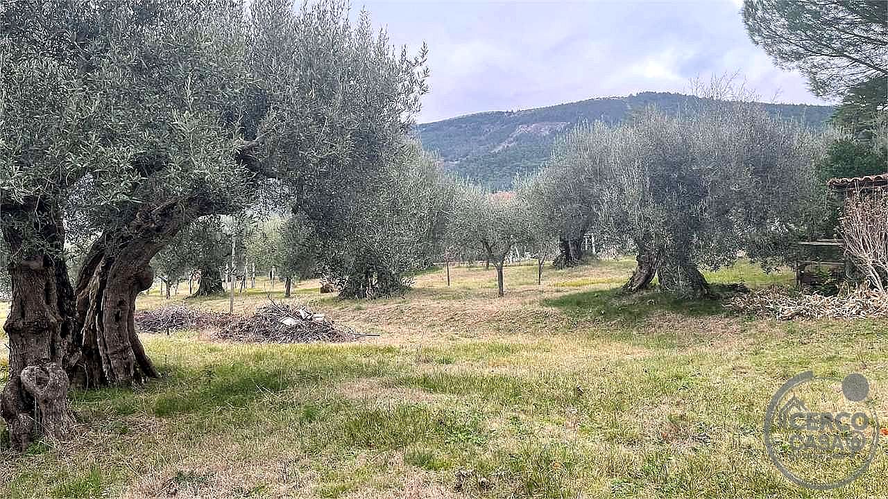 RUSTICO - CASALE VENDITA PERUGIA · foto 5