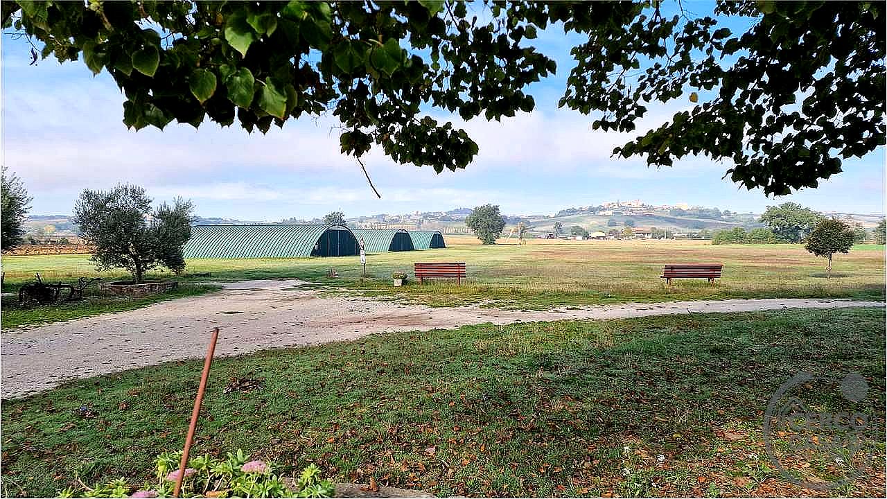 TERRENO AGRICOLO VENDITA MARSCIANO CASTELLO DELLE FORME · foto 16