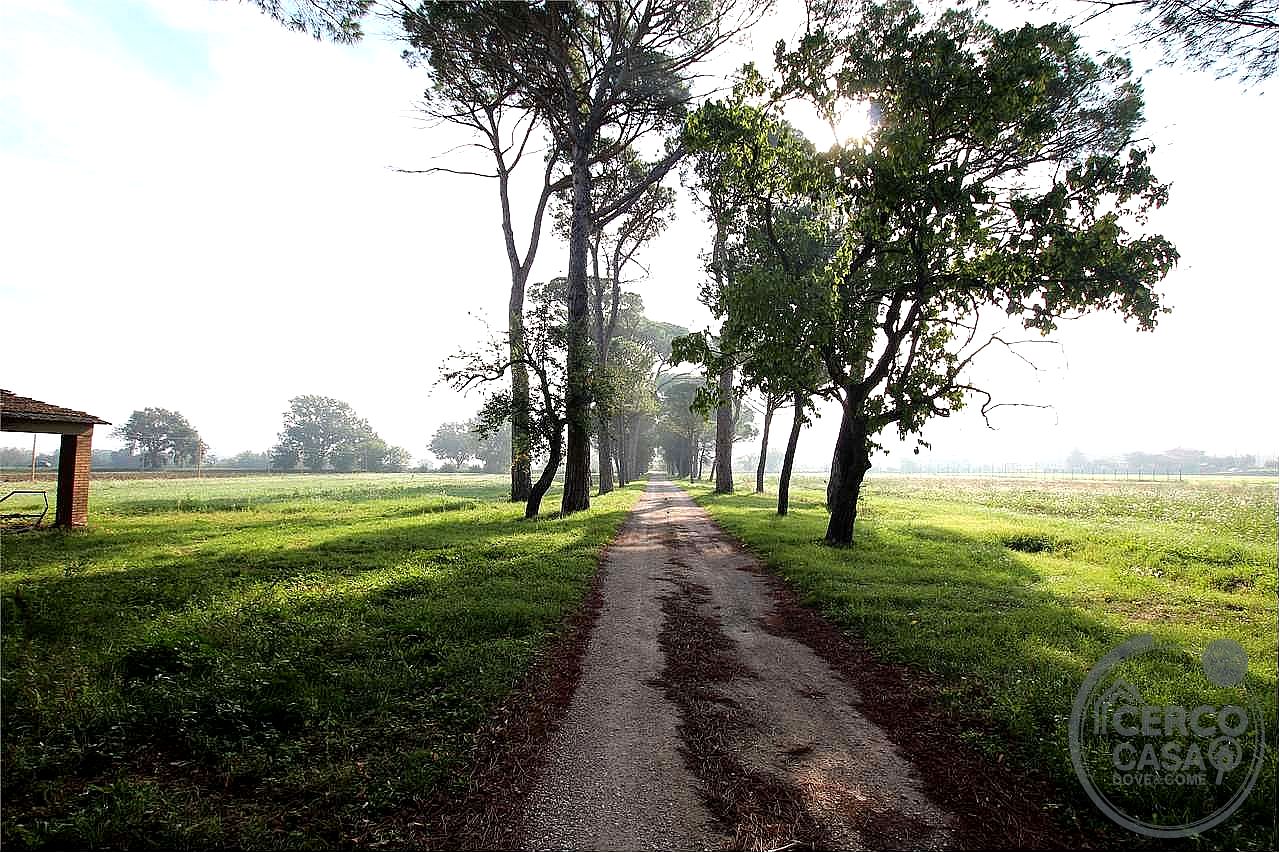 TERRENO AGRICOLO VENDITA MARSCIANO CASTELLO DELLE FORME · foto 17