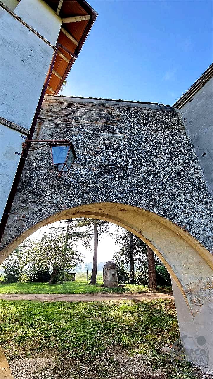 TERRENO AGRICOLO VENDITA MARSCIANO CASTELLO DELLE FORME · foto 21