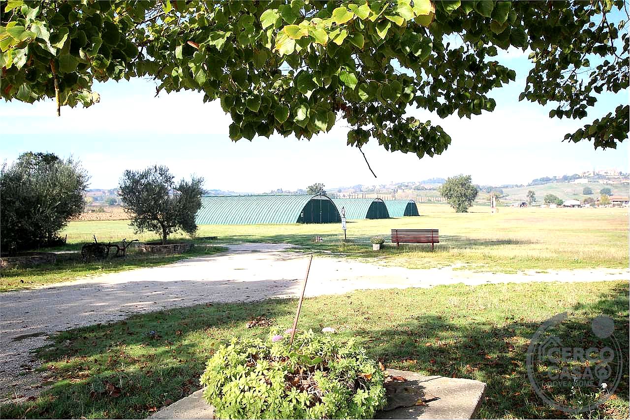 TERRENO AGRICOLO VENDITA MARSCIANO CASTELLO DELLE FORME · foto 28