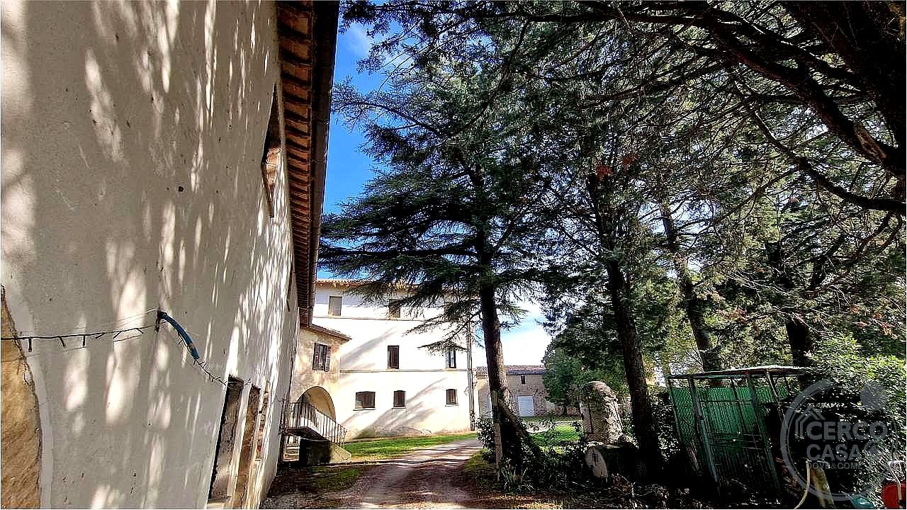 TERRENO AGRICOLO VENDITA MARSCIANO CASTELLO DELLE FORME · foto 31