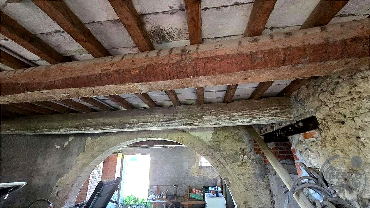 TERRENO AGRICOLO VENDITA MARSCIANO CASTELLO DELLE FORME · foto 9