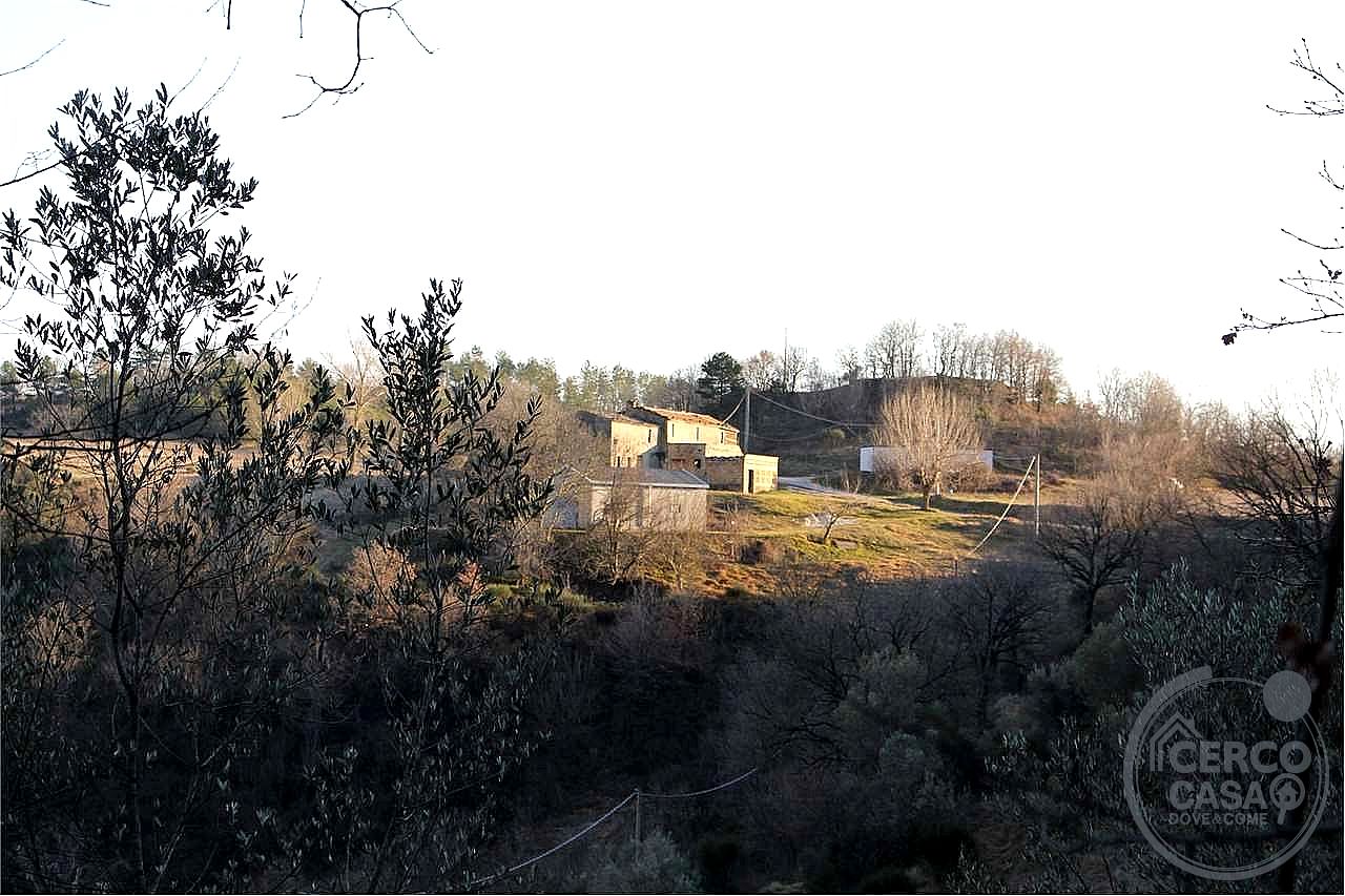 RUSTICO - CASALE VENDITA VALFABBRICA · foto 9