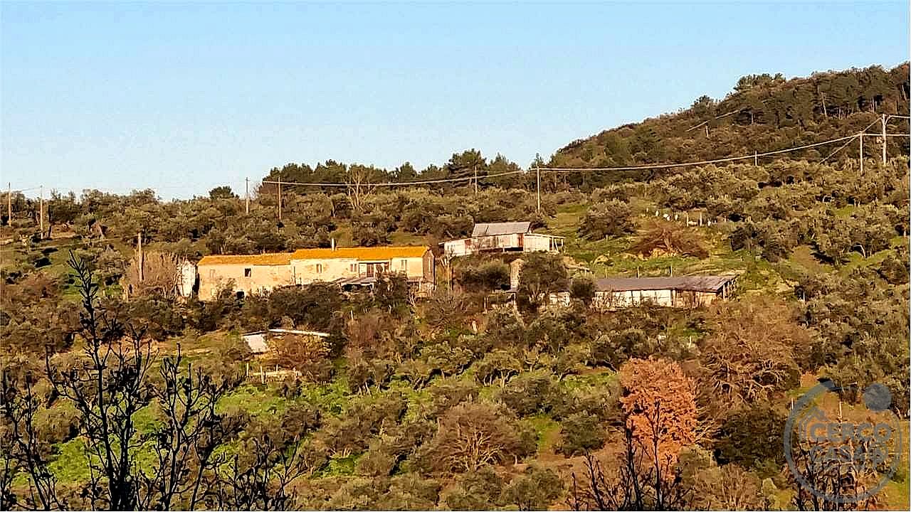 RUSTICO - CASALE VENDITA TORGIANO · foto 2