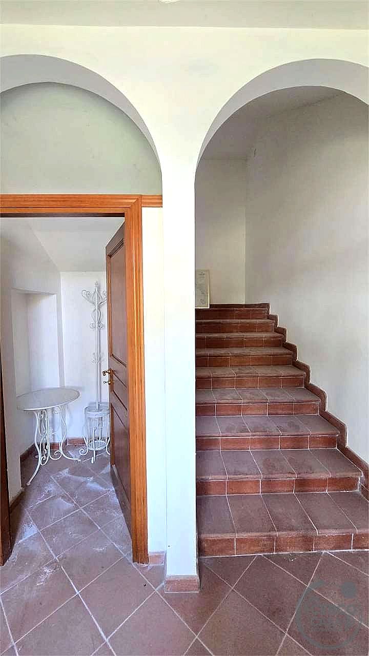 TERRENO AGRICOLO VENDITA MARSCIANO CASTELLO DELLE FORME · foto 24
