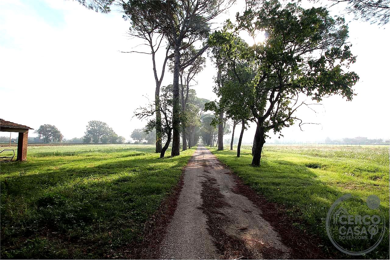 TERRENO AGRICOLO VENDITA MARSCIANO CASTELLO DELLE FORME · foto 5