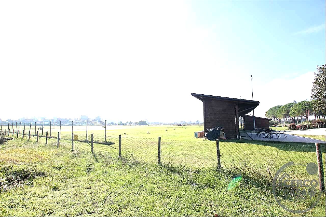 TERRENO AGRICOLO VENDITA MARSCIANO CASTELLO DELLE FORME · foto 6