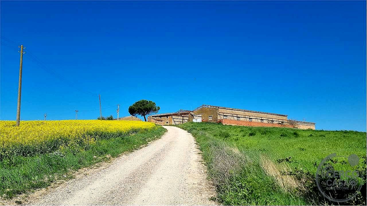 RUSTICO - CASALE VENDITA MARSCIANO VILLANOVA · foto 10