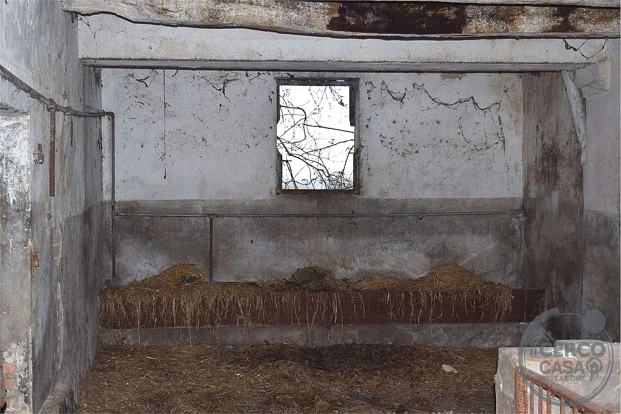 RUSTICO - CASALE VENDITA MARSCIANO VILLANOVA · foto 19