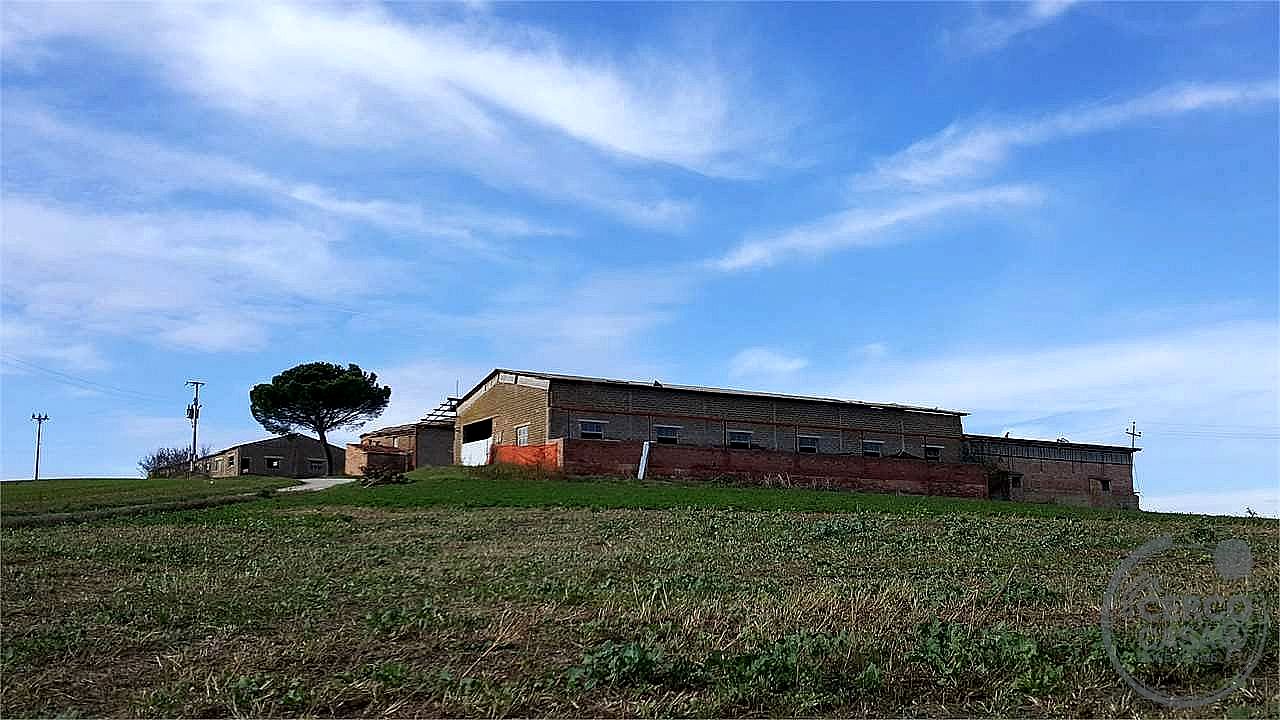RUSTICO - CASALE VENDITA MARSCIANO VILLANOVA · foto 27