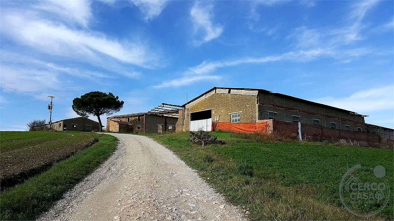 RUSTICO - CASALE VENDITA MARSCIANO VILLANOVA · foto 35