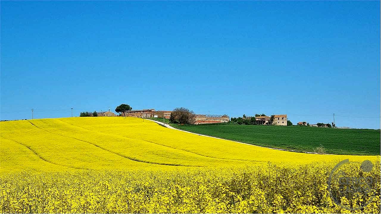 RUSTICO - CASALE VENDITA MARSCIANO VILLANOVA · foto 4