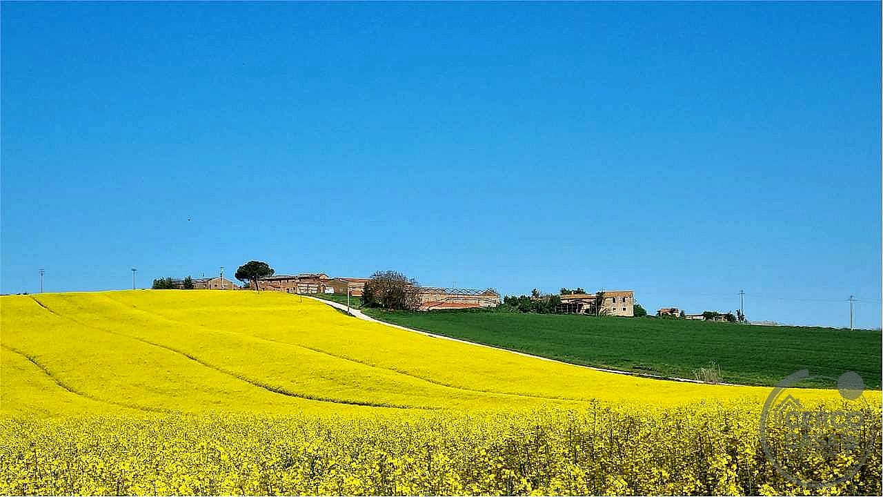 RUSTICO - CASALE VENDITA MARSCIANO VILLANOVA · foto 5