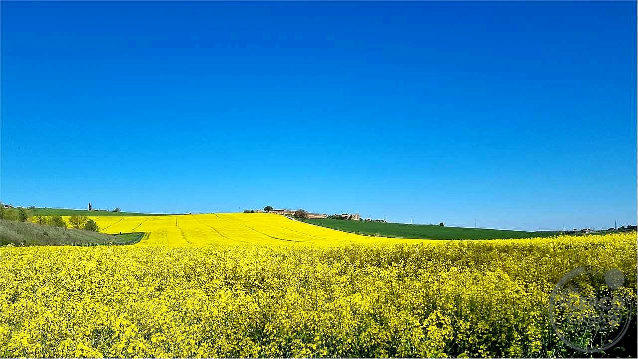 RUSTICO - CASALE VENDITA MARSCIANO VILLANOVA · foto 6
