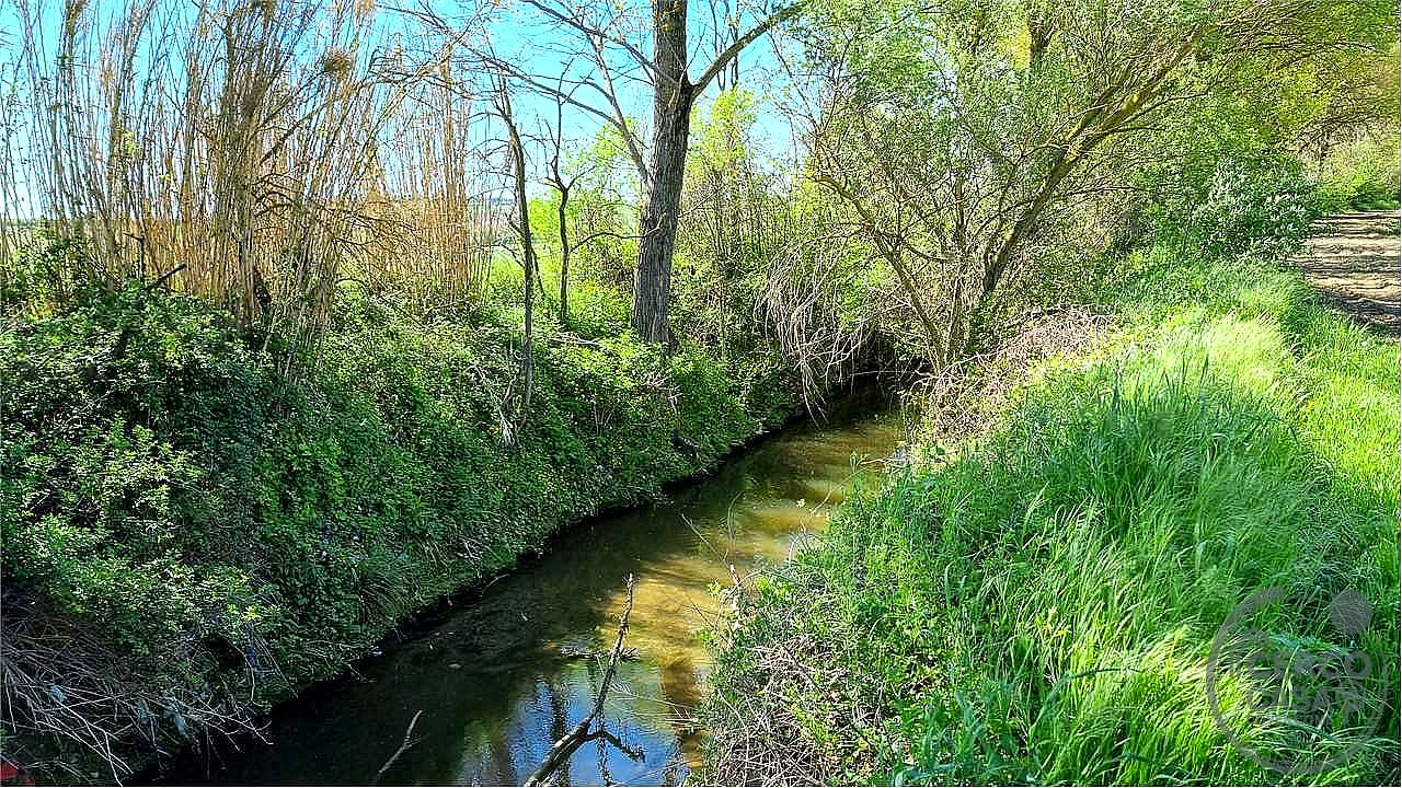 RUSTICO - CASALE VENDITA MARSCIANO VILLANOVA · foto 7