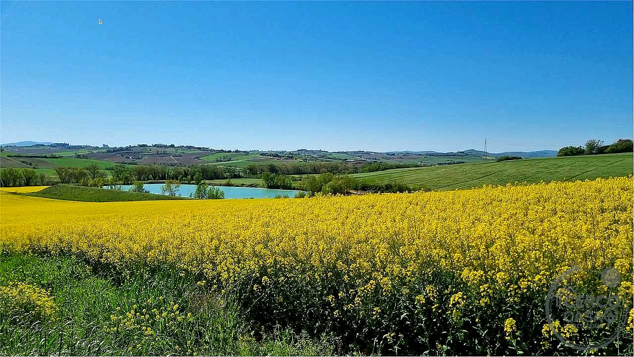 RUSTICO - CASALE VENDITA MARSCIANO VILLANOVA · foto 9