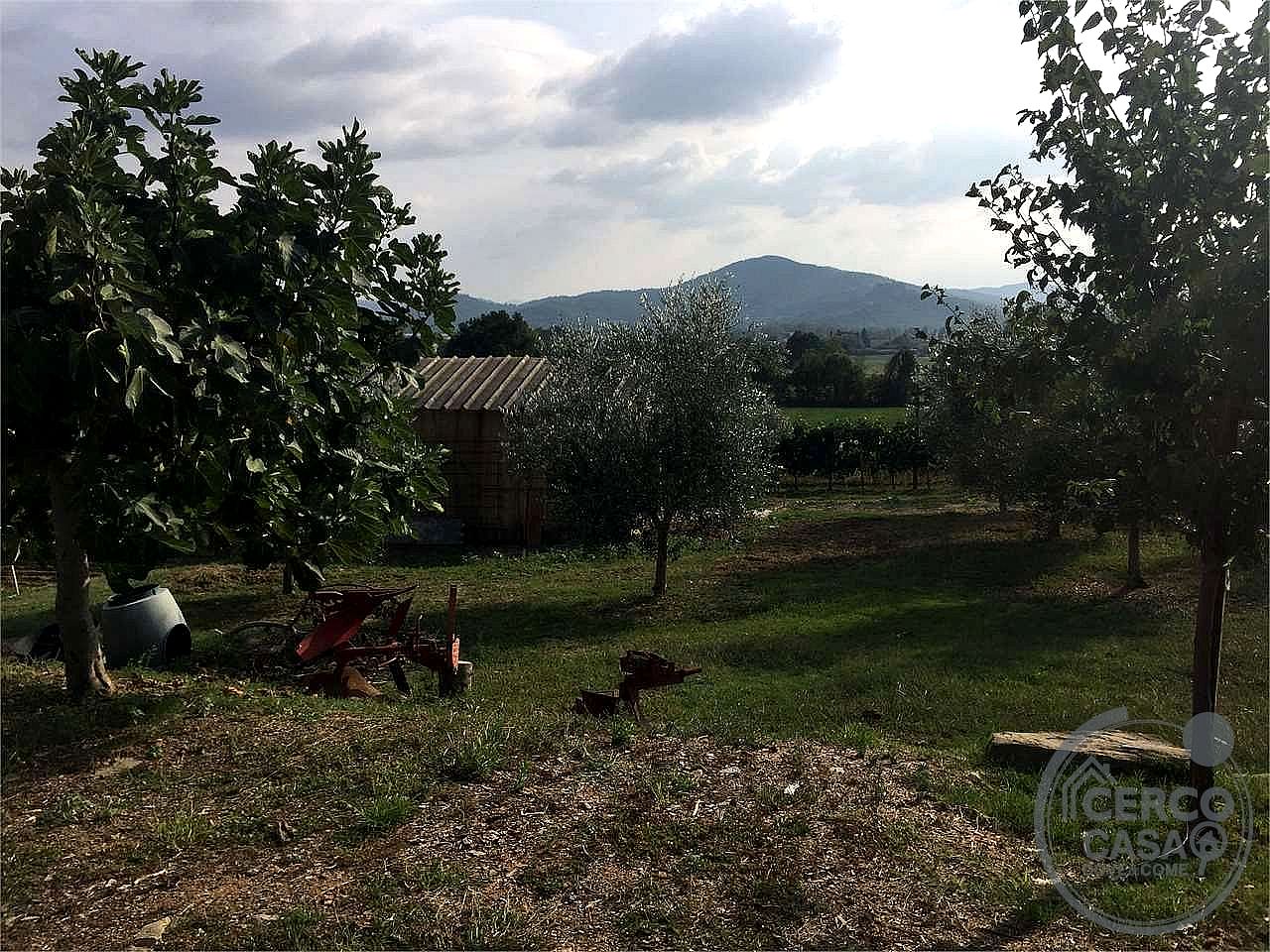 RUSTICO - CASALE VENDITA MAGIONE · foto 5