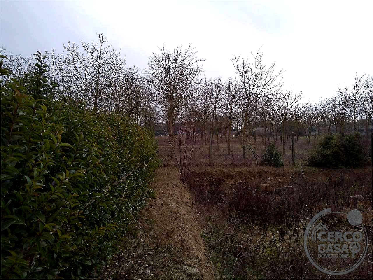 TERRENO EDIFICABILE VENDITA MARSCIANO SAN BIAGIO DELLA VALLE · foto 8
