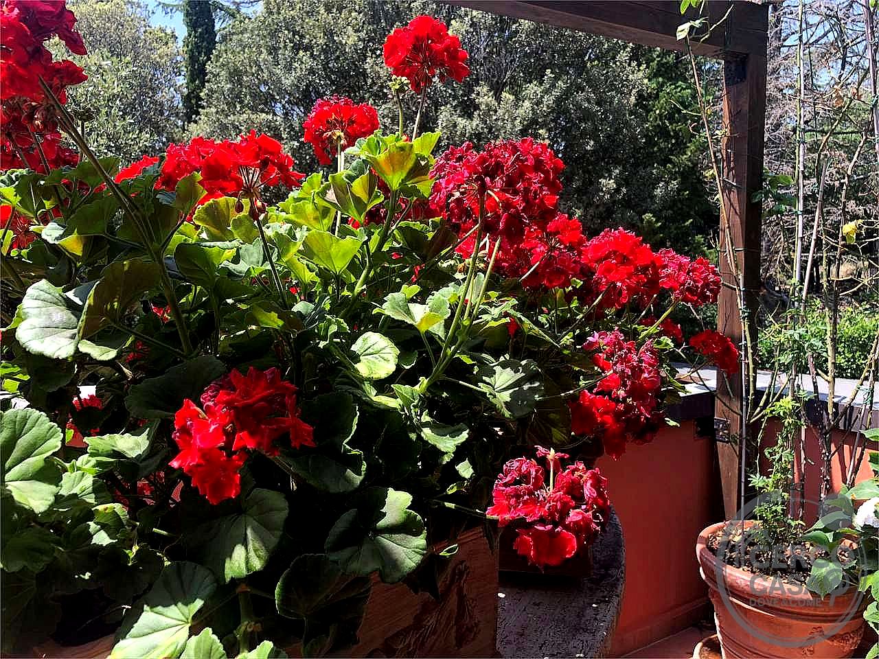 VILLA VENDITA PERUGIA OLMO · foto 2