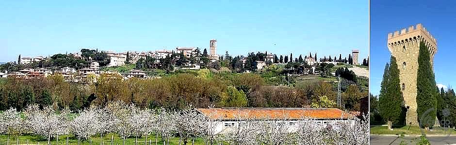 TERRENO EDIFICABILE VENDITA TORGIANO · foto 1