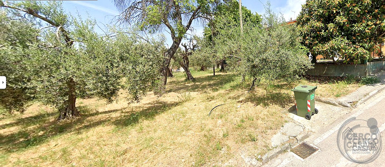 TERRENO EDIFICABILE VENDITA PASSIGNANO SUL TRASIMENO · foto 6