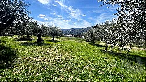TERRENO EDIFICABILE VENDITA PASSIGNANO SUL TRASIMENO · foto 24
