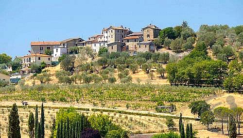 TERRENO EDIFICABILE VENDITA PASSIGNANO SUL TRASIMENO · foto 39