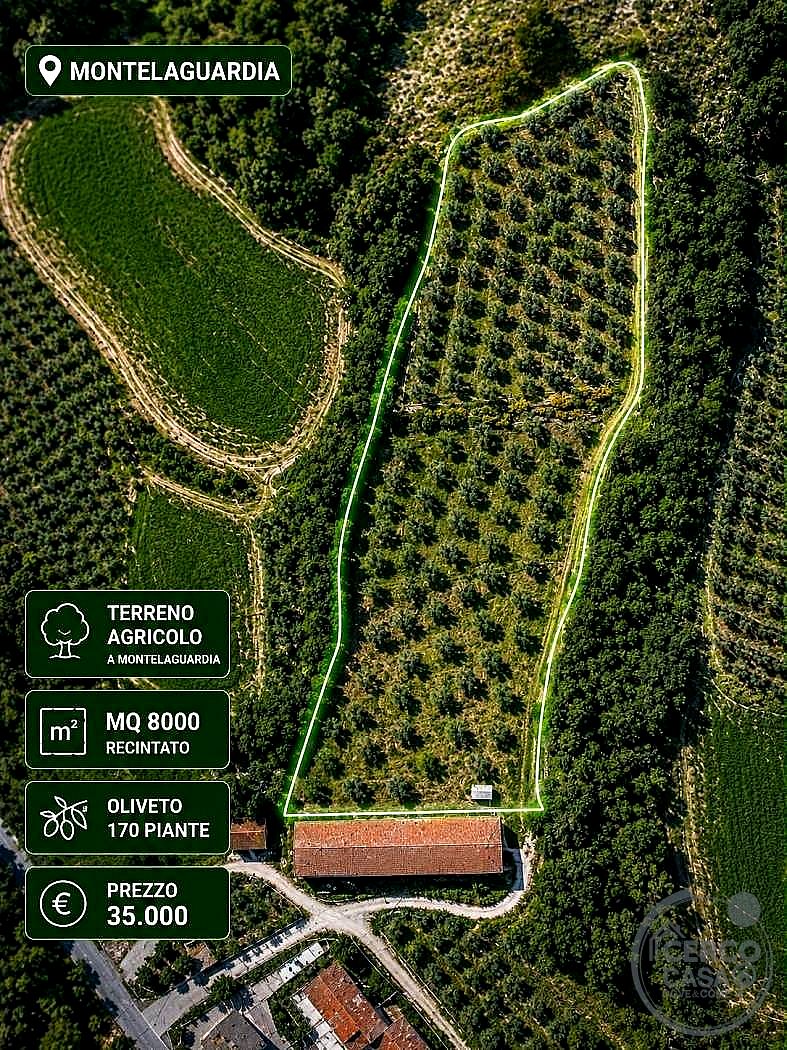 TERRENO AGRICOLO VENDITA PERUGIA MONTELAGUARDIA