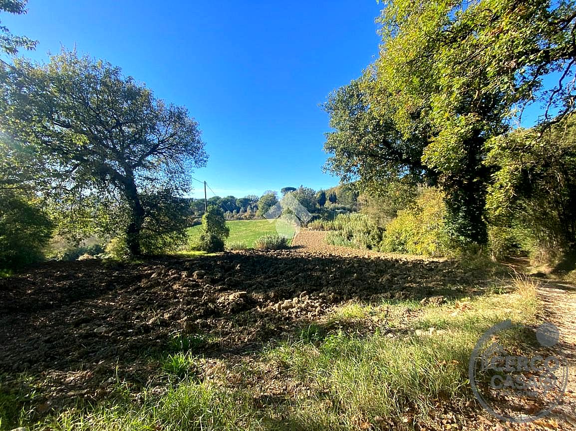 RUSTICO - CASALE VENDITA ACQUASPARTA · foto 2