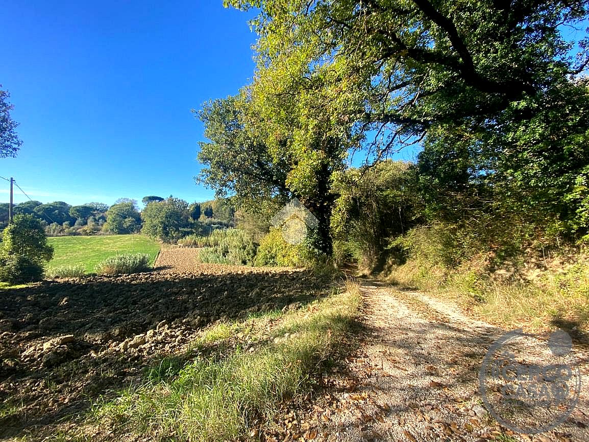 RUSTICO - CASALE VENDITA ACQUASPARTA · foto 4