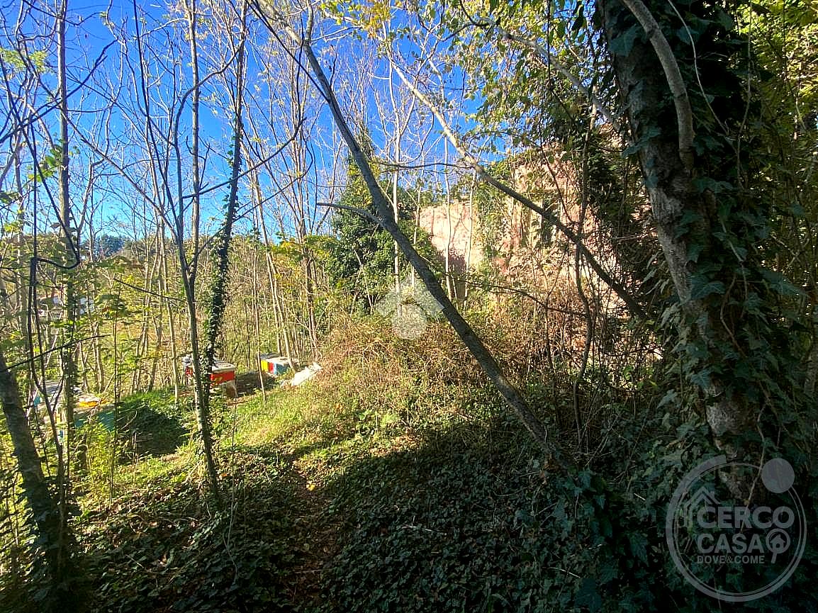 RUSTICO - CASALE VENDITA ACQUASPARTA · foto 7