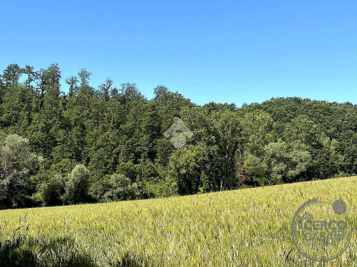 TERRENO AGRICOLO VENDITA MONTECASTRILLI