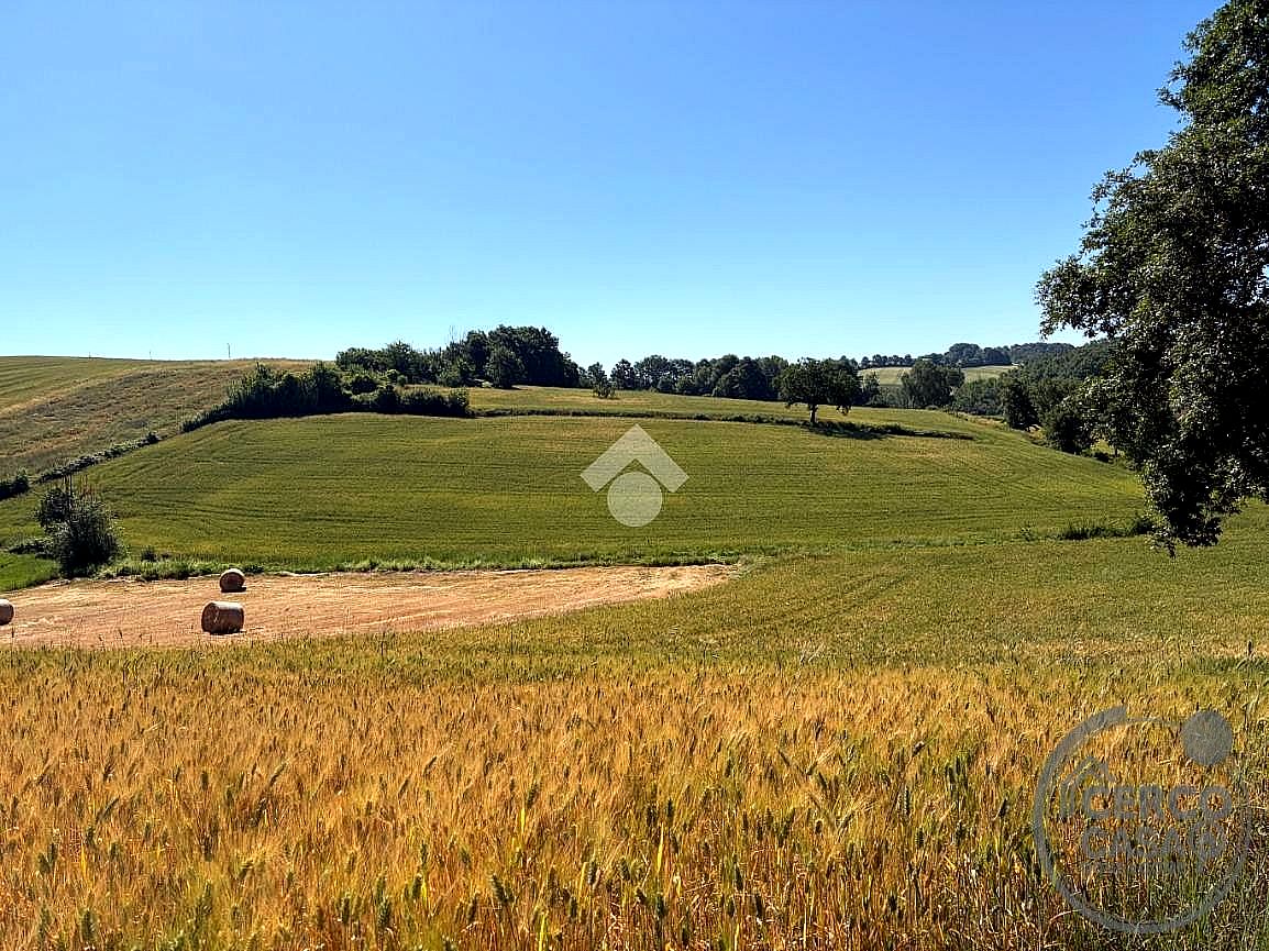 TERRENO AGRICOLO VENDITA MONTECASTRILLI