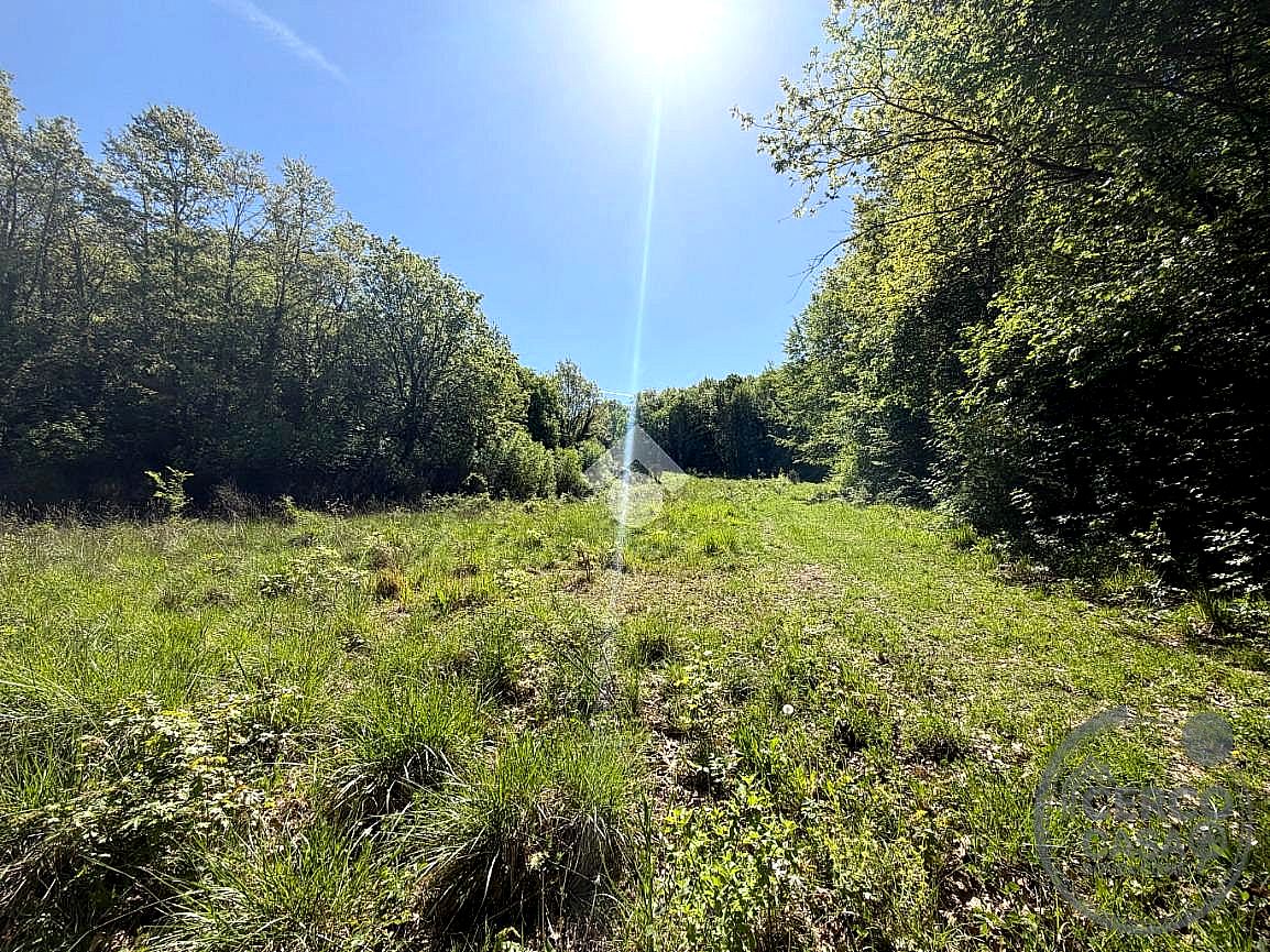 TERRENO AGRICOLO VENDITA ACQUASPARTA MACERINO