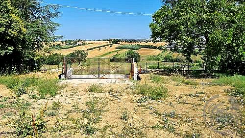 VILLA VENDITA CORCIANO MIGIANA · foto 10